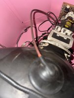IMG_3423.jpg