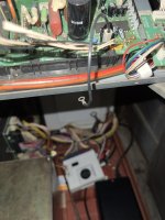 IMG_6147.jpeg
