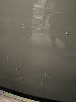 IMG_3106.jpeg
