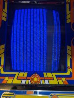 IMG_4887.jpeg