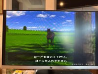 IMG_3049.jpeg