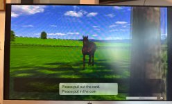 IMG_3050.jpeg