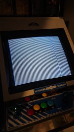 20250331_133359.jpg