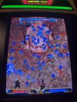 IMG_4600.jpeg