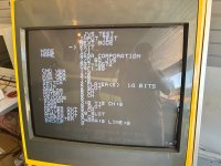IMG_7181.jpeg