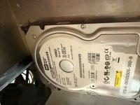 IMG_8554.jpeg