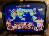 IMG_3686.jpeg