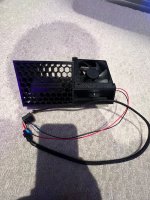 IMG_1995.jpeg