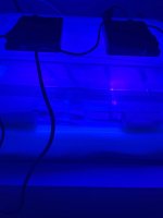 IMG_9828.jpeg