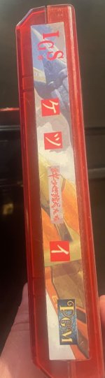 IMG_6981.jpeg