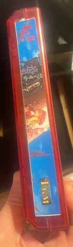 IMG_6982.jpeg