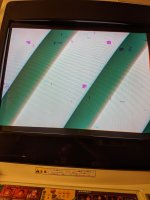 102957515_272486683869821_3086149754901181393_n.jpg
