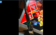 dsfspfisfs.png
