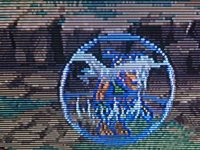 IMG_9420.jpeg