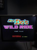 wildride1.jpg