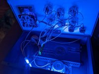 PXL_20220430_094634693.jpg