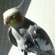 Graham