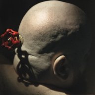 gvirus