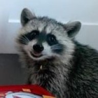 NEOGEO Raccoon